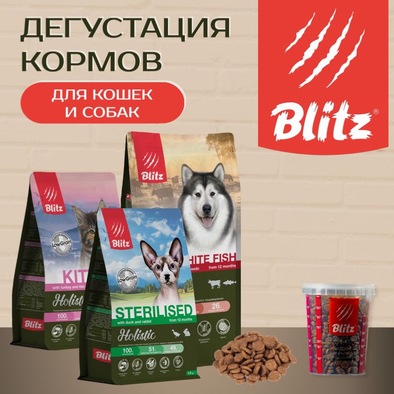 Дегустация кормов Blitz holistic для кошек и собак