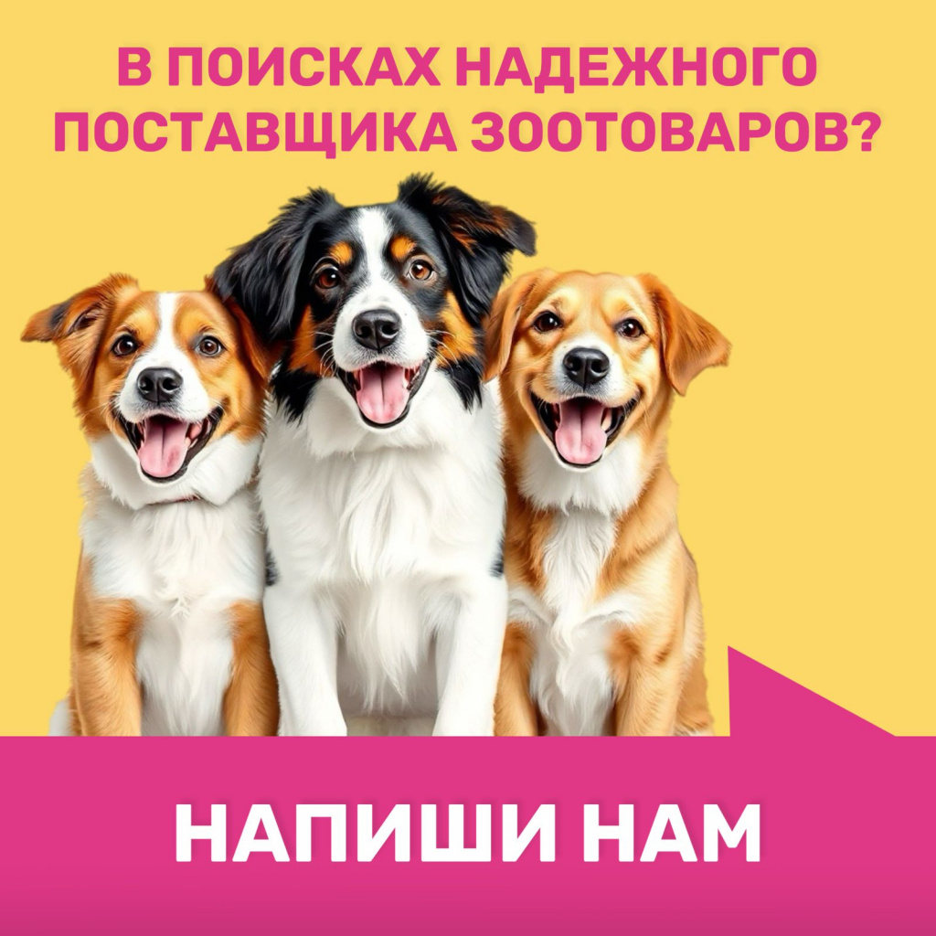 Изображение WhatsApp 2025-10-15 в 15.25.49_a641fca4.jpg