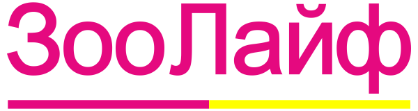ЗооЛайф ЗооЛайф