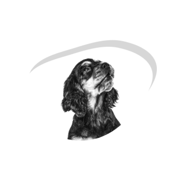 Как меняется режим кормления щенка?