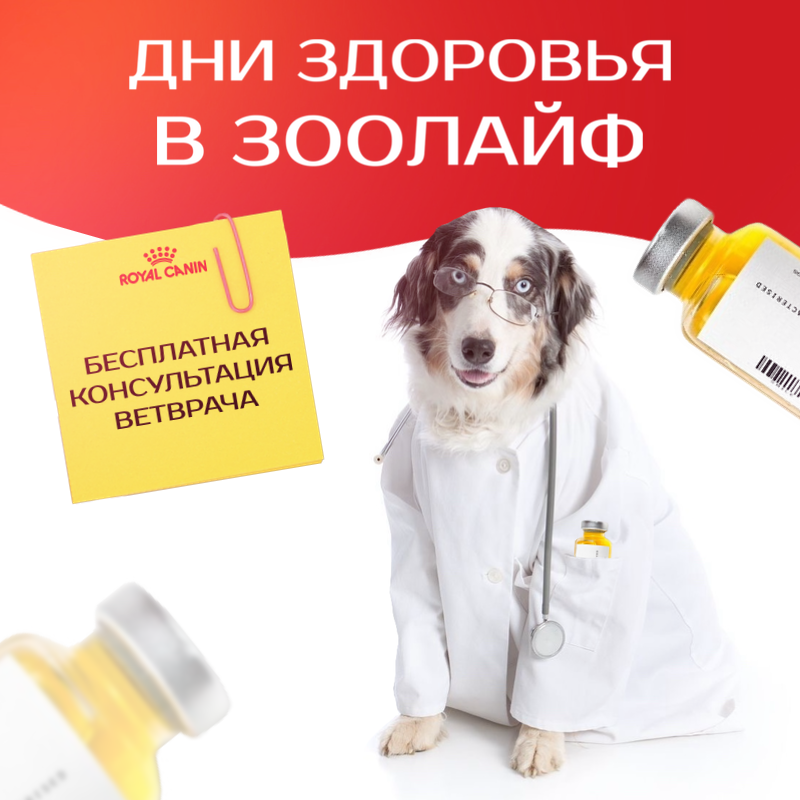 Дни здоровья в ЗооЛайф