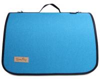 Lion Econom Сумка-переноска для животных, размер 3, 43x29x27см