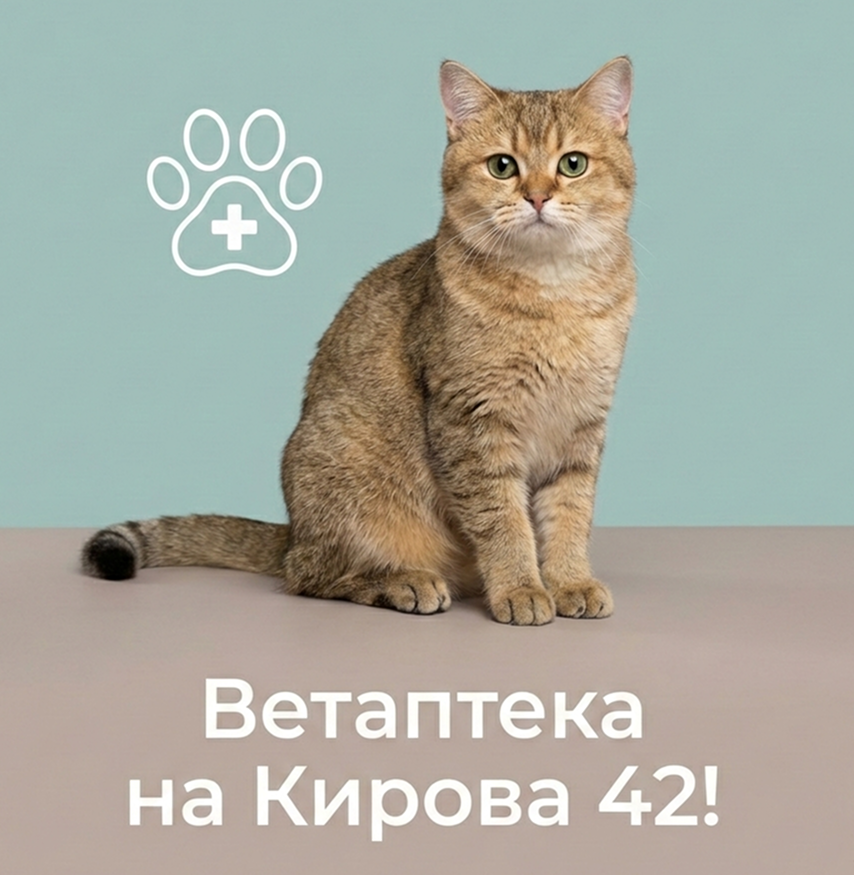 На Кирова 42 начала работу ветаптека! На Кирова 42 начала работу ветаптека!