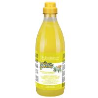 Iv San Bernard Fruit of the Groomer Ginger&Elderbery Шампунь имбирь-бузина против раздражения и перхоти 1л