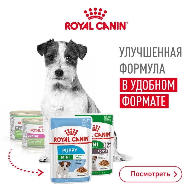 Смена формата влажного корма Royal Canin