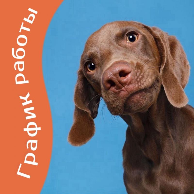 График работы в День народного единства 2025