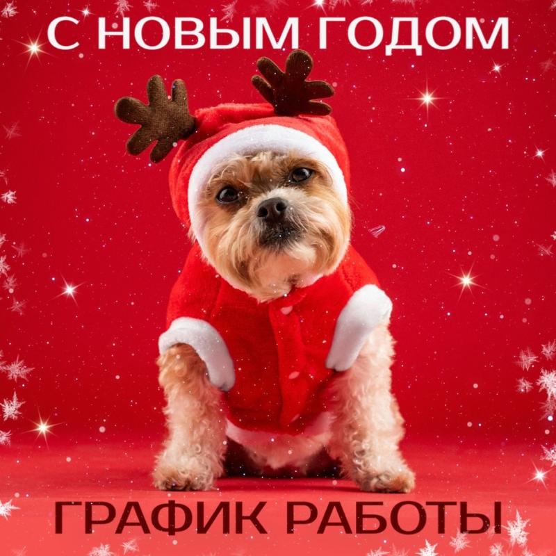 График работы в Новый год 2025