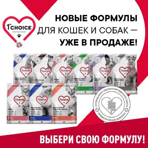 Новинки 1st Choice уже в продаже