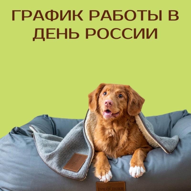 График работы в день России
