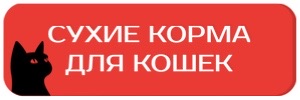 Сухие_блитц_кошки
