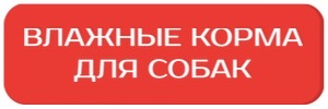 Влажные_блитц_собаки