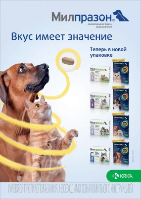 Милпразон Таблетки от гельминтов для кошек весом более 2 кг, 16мг, 2 таб