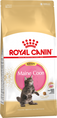 Royal Canin Kitten Maine Coon 36 Сухой корм для котят породы Мэйн Кун