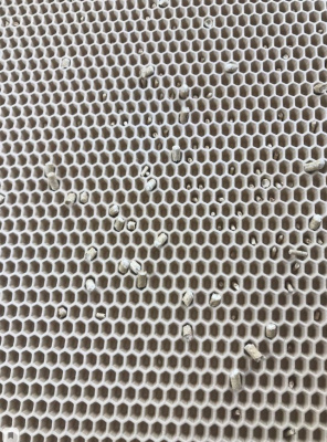 Коврик для туалета зверьё моё чистый пол, 60*75