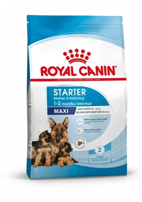 Royal Canin Maxi Starter Сухой корм для собак крупных пород, беременных, лактирующих и для щенков до 2-х месячного возраста