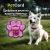 PetCard Цифровая визитка (адресник) для собак и кошек с QR-кодом и NFC