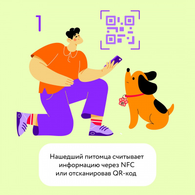 PetCard Цифровая визитка (адресник) для собак и кошек с QR-кодом и NFC