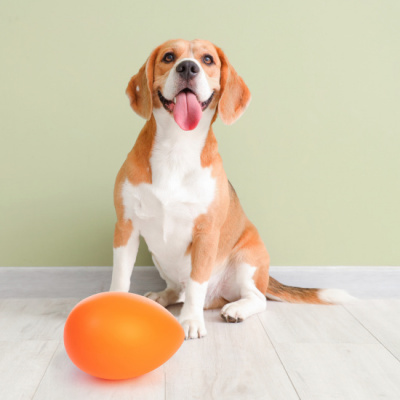 Джи Пи Ай Игрушка для собак неуловимое яйцо 15см