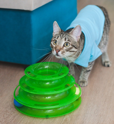 Игровой комплекс для кошек с 3 шариками 24,5*24,5*13см микс (без картонной коробки)