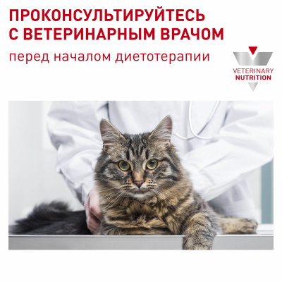 Royal Canin Dental Feline Сухой корм