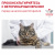 Royal Canin Dental Feline Сухой корм