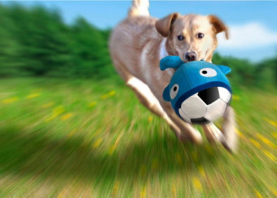 Игрушка для собак мяч Wally, 23 см BOOGA